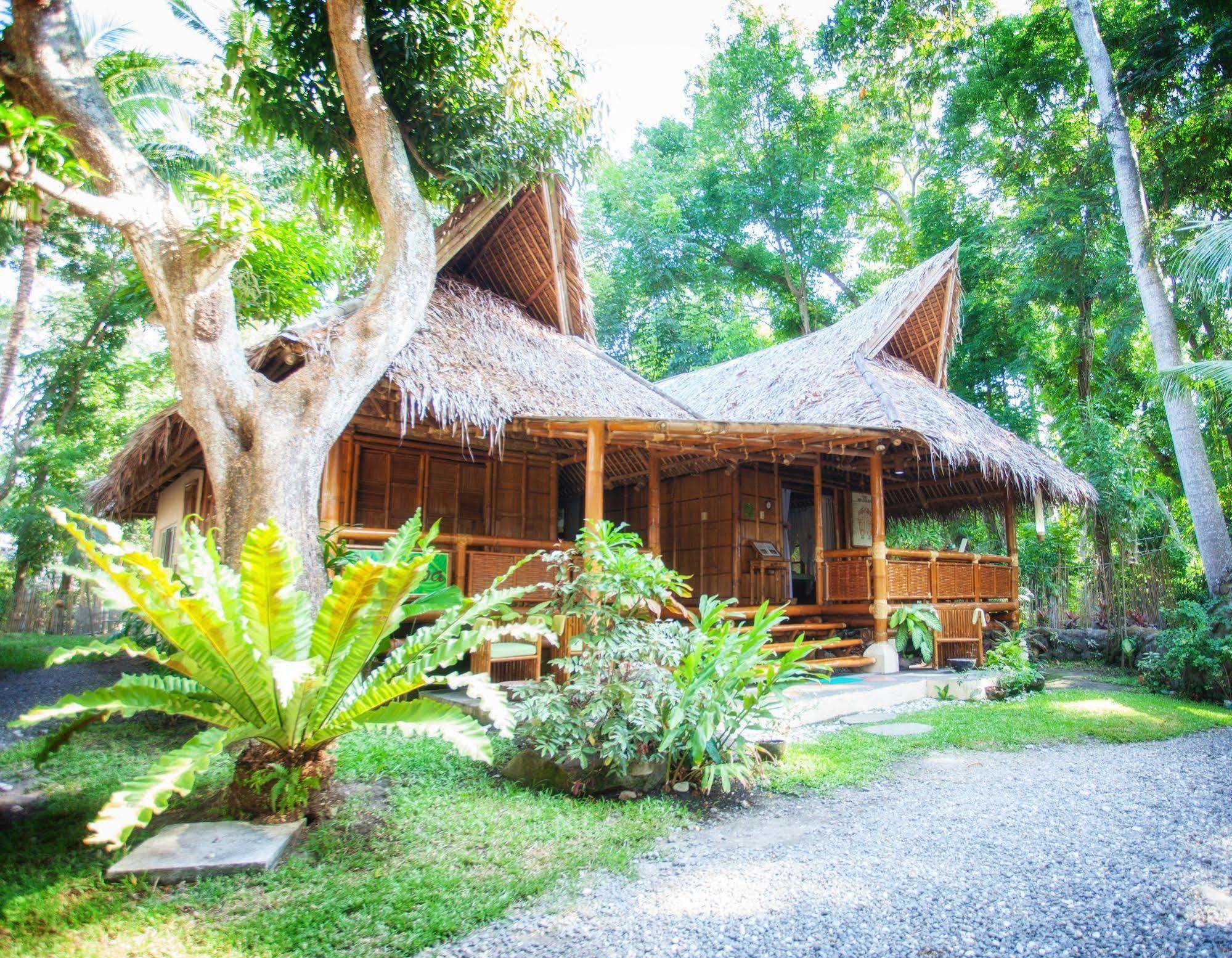 Pura Vida Beach & Dive Resort Дауин Екстериор снимка